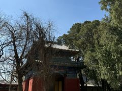 -北京国子监胡同