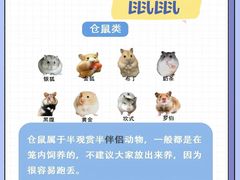 -爱侣宠医·鹦鹉专科·小型哺乳类·异宠专科(灵石路店)