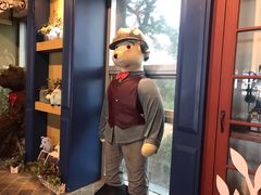 -济州岛泰迪熊博物馆