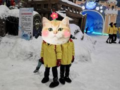 -世界之窗阿尔卑斯冰雪世界