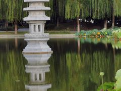-木塔寺遗址生态公园