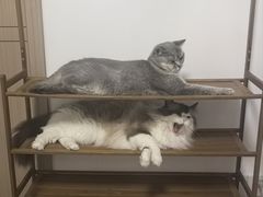 -HOT CRUSH趁热集合·现烤面包(环球港店)