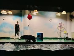 -嘉兴海底世界