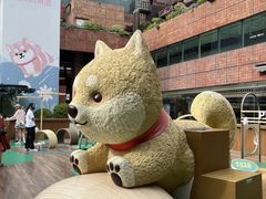 -新城市广场