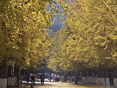-山东大学(千佛山校区)