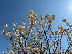 -观澜湖生态运动公社