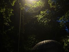 -铁山坪森林公园