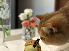 -LANLIZI BAKERY(COSMO店)