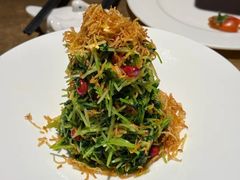 巧拌豆苗-四季民福烤鸭店(西单华威约饭街店)