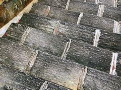 -广州白江湖森林公园