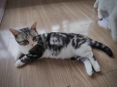 -将军关探险漂流