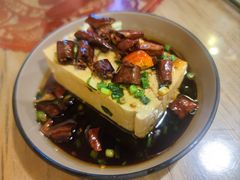 酱油老豆腐-锅儿挑面馆