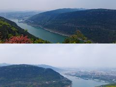 -铁山坪森林公园