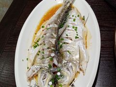 -紅楼酒家(朱家角店)