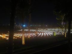 -南京眼步行桥