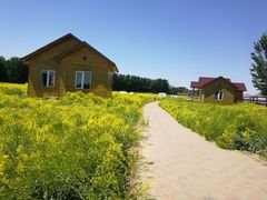 -天津武清北运河郊野公园房车露营地