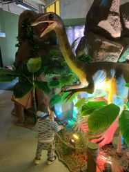 -恐龙探索乐园(磁器口店)