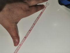 -盛宴标帜餐厅·亲子自助 (南昌喜来登酒店)
