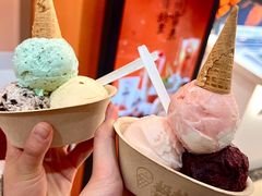 -极拉图·现制冰淇淋(大卫城店)