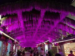 -婺源梦里老家大型山水实景演出