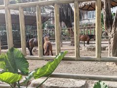 -南宁市动物园