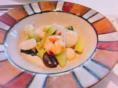 xo酱爽菜炒虾仁-三号黄浦会Canton Table