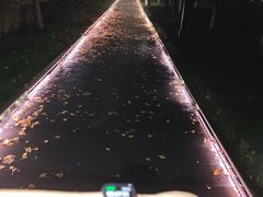 -唐城墙遗址公园