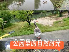 -洛阳市隋唐城遗址植物园