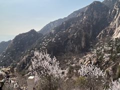 -北京凤凰岭