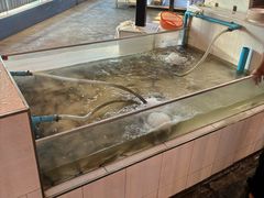 -芭提雅Amporn Seafood自助餐厅