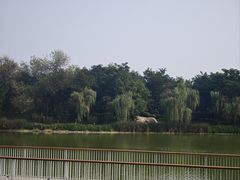 -渭滨公园