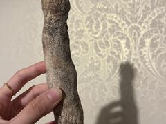 硬欧面包裸麦长笛健身欧包-野上麦田(中贸广场店)
