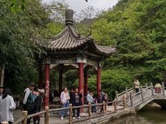 -王顺山国家森林公园