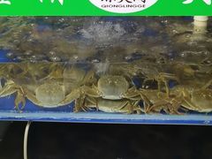 -阳澄湖大闸蟹·琼灵阁牌品牌连锁(吴中总店)