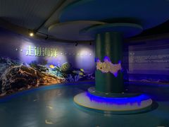 -蓬莱欧乐堡海洋极地世界