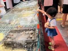 -佳和水饺(海德公馆店)