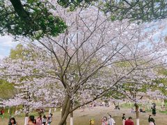 -堤角公园