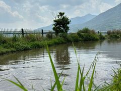 -腾冲北海湿地