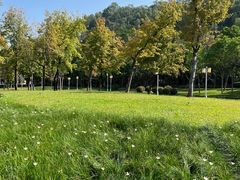 -顺峰山公园