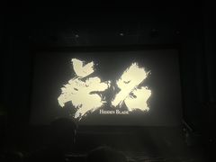 -飞扬影城(正佳IMAX店)