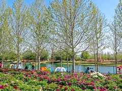 -羊亭河湿地公园