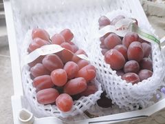 -马陆小张葡萄园农家乐