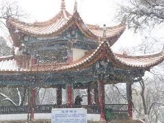 -昆明动物园