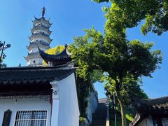 -苏州上方山国家森林公园