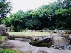 -Hōzen-ji Temple法善寺