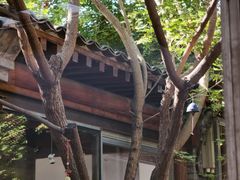 -VOYAGE COFFEE(杨梅竹店)