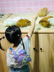-Moni星球萌宠·小马宝莉·灵蛇·高端高阶全萌宠互动体验俱乐部(红豆国际广场店)