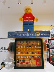 -乐高授权专卖店(朝阳大悦城店)