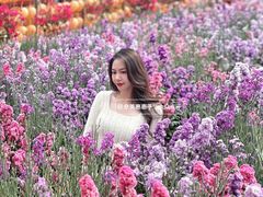 -盈香心动乐园