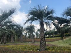 -南通洲际绿博园